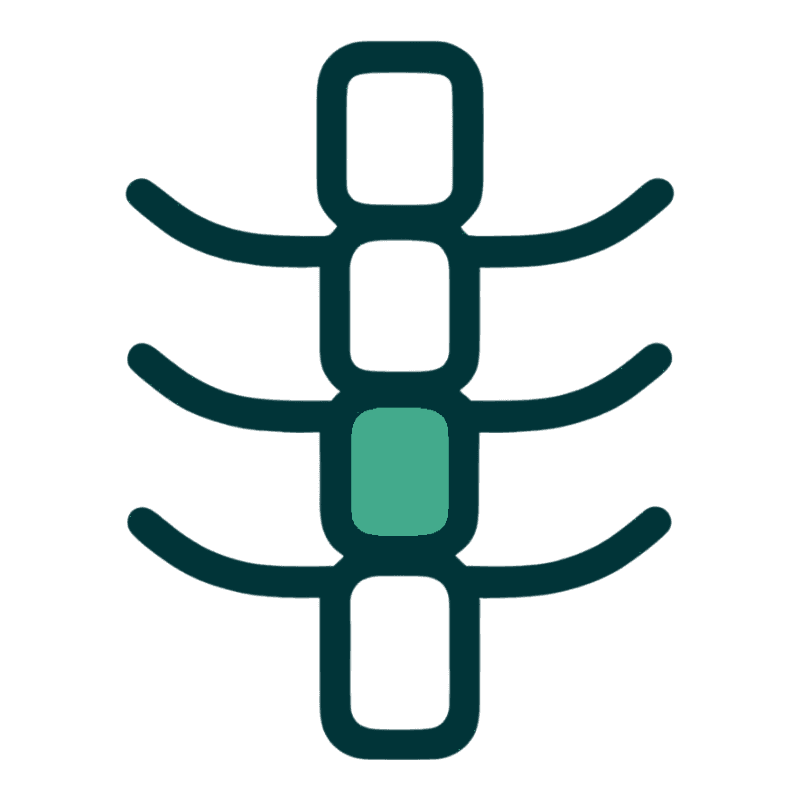 Building the backbone: session mark